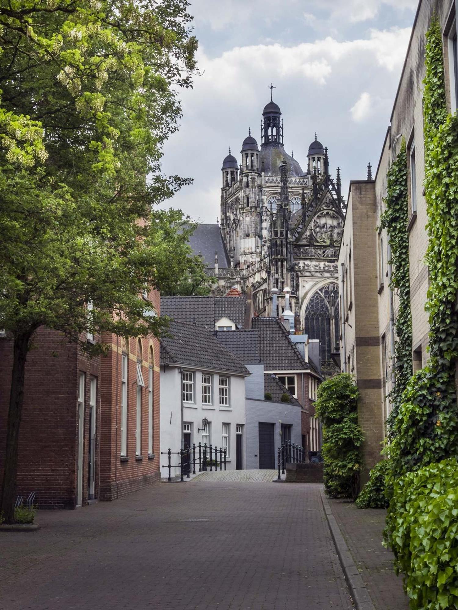 Hotel De Ruwenberg Den Bosch - Sint Michielsgestel Exteriér fotografie